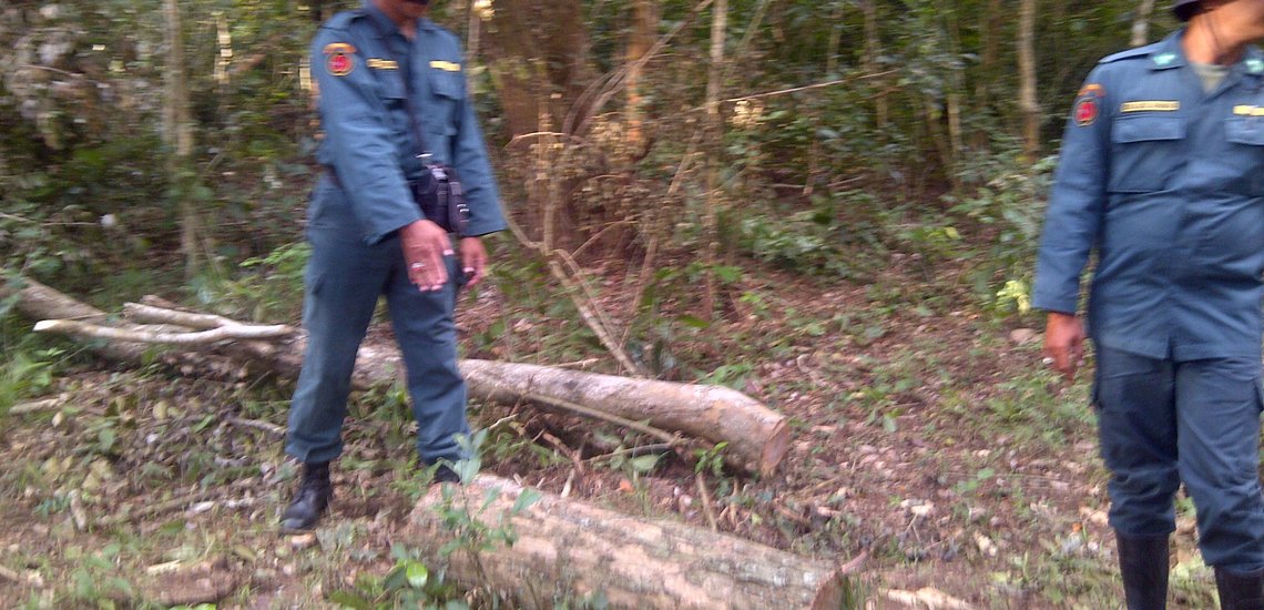 Patroli penebangan liar di kawasan hutan