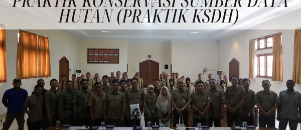 Praktek Kerja Lapang SMKN Kehutanan Kadipaten